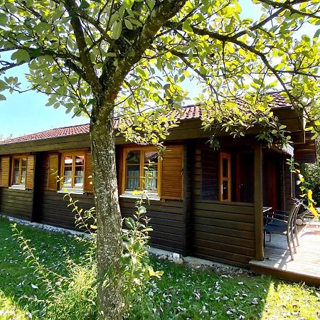 Ferienhaus Bruckner Hayingen Lauterdoerfle المظهر الخارجي الصورة